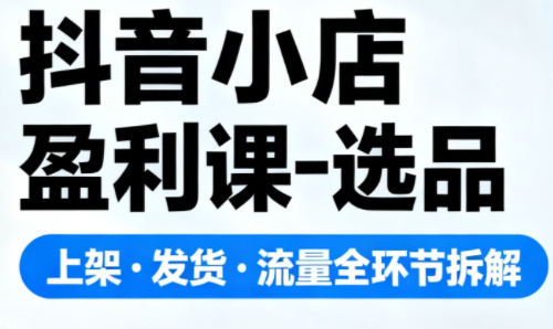 抖音小店盈利课-选品·上架·发货·流量全环节拆解-摇钱述