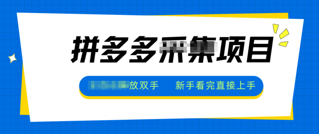 拼多多电商采集，一小时50+，操作简单，零投资-摇钱述