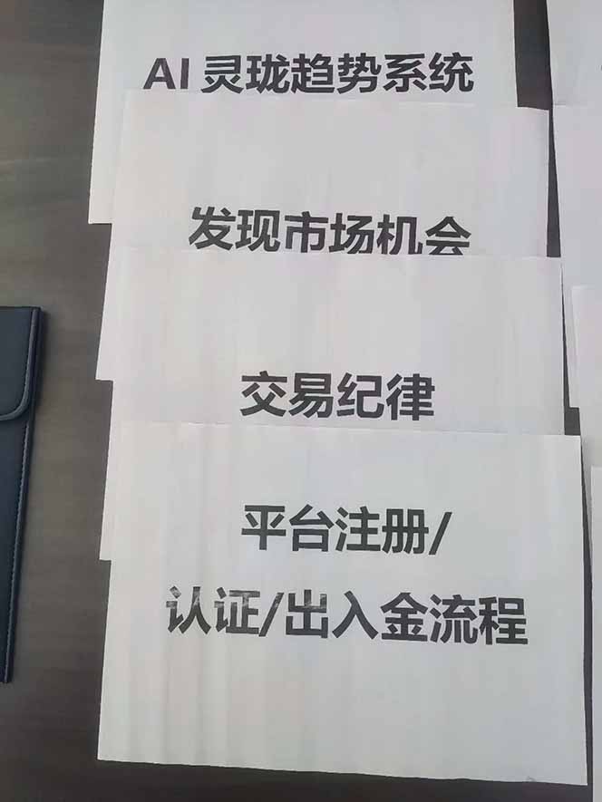 图片[3]-海外美金AI掘金项目，200U可入门槛，一天一单即可，每天1000-2000很轻松！-摇钱述