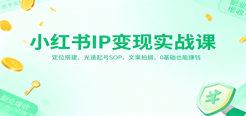 小红书IP变现实战课：定位搭建，光速起号SOP，文案拍摄，0基础也能赚钱-摇钱述