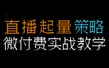 半野老师·直播带货起量与微付费必学课视频号-摇钱述