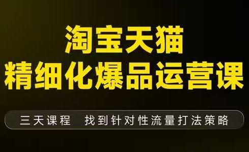 猫课子幽·淘宝天猫精细化爆品运营【音频+字幕+文档】(9月12-14杭州线下课)-摇钱述