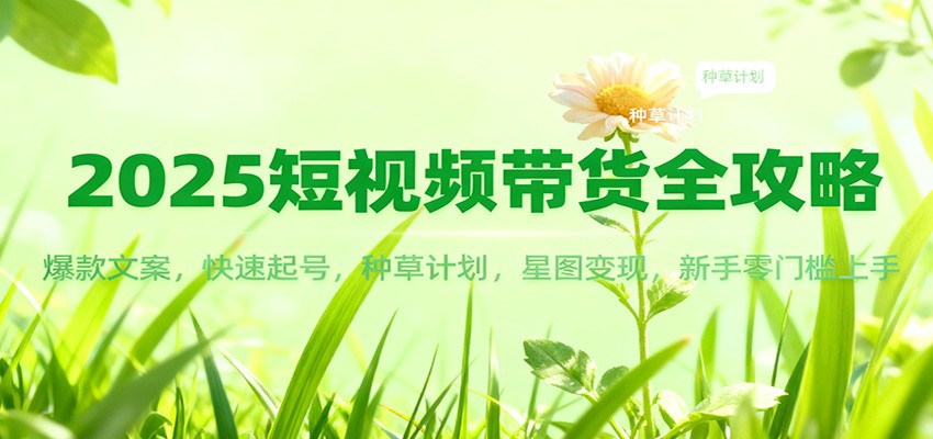 2025短视频带货全攻略：爆款文案，快速起号，种草计划，星图变现，新手零门槛上手-摇钱述
